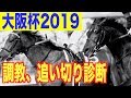 【大阪杯2019】有力馬はぬかりない印象。その中でも１番良く見えたのは！