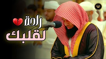 أجمل التلاوات بترتيل نادر تلاوات الشيخ أنس العمادي 1447 هـ