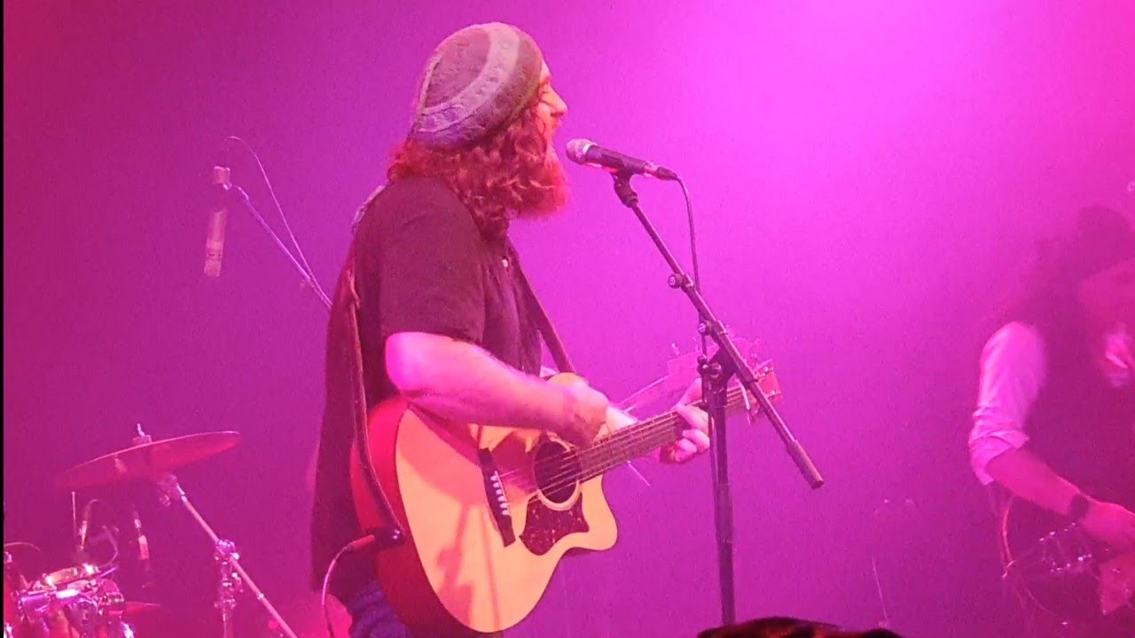 ביני לנדאו - 