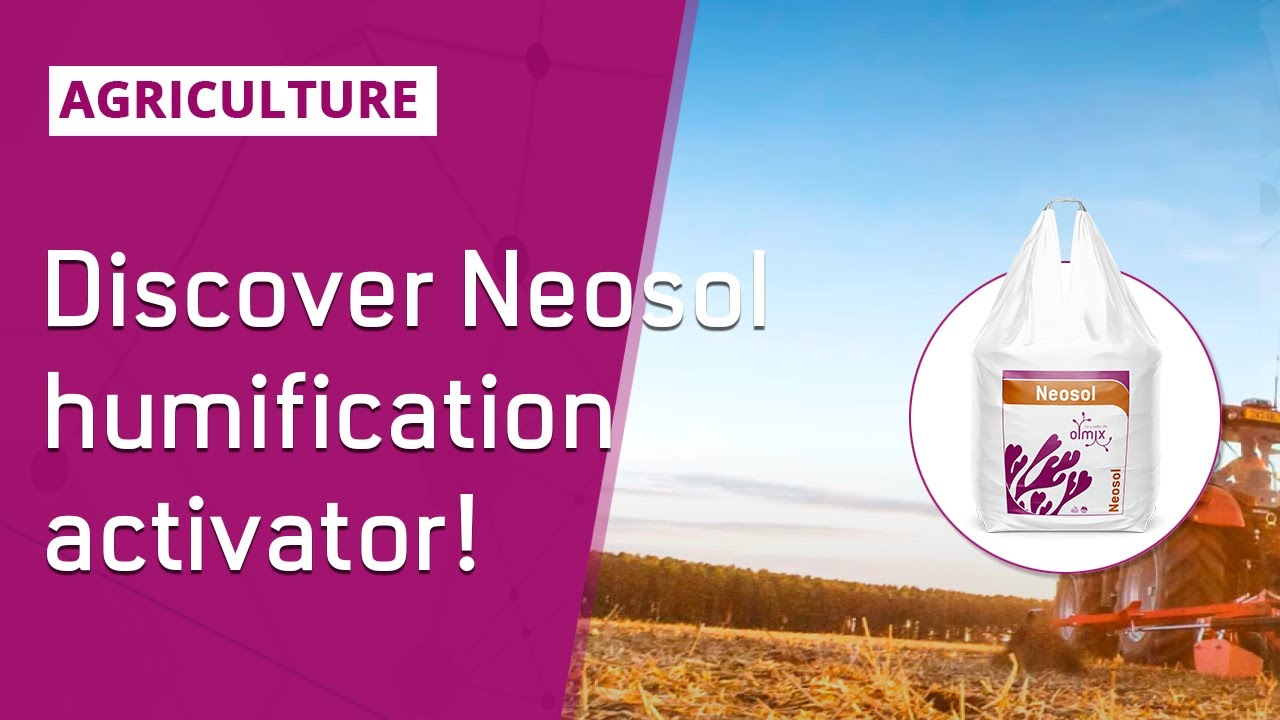 🌱FIELD CROPS | Promoting humus formation for healthy soils!