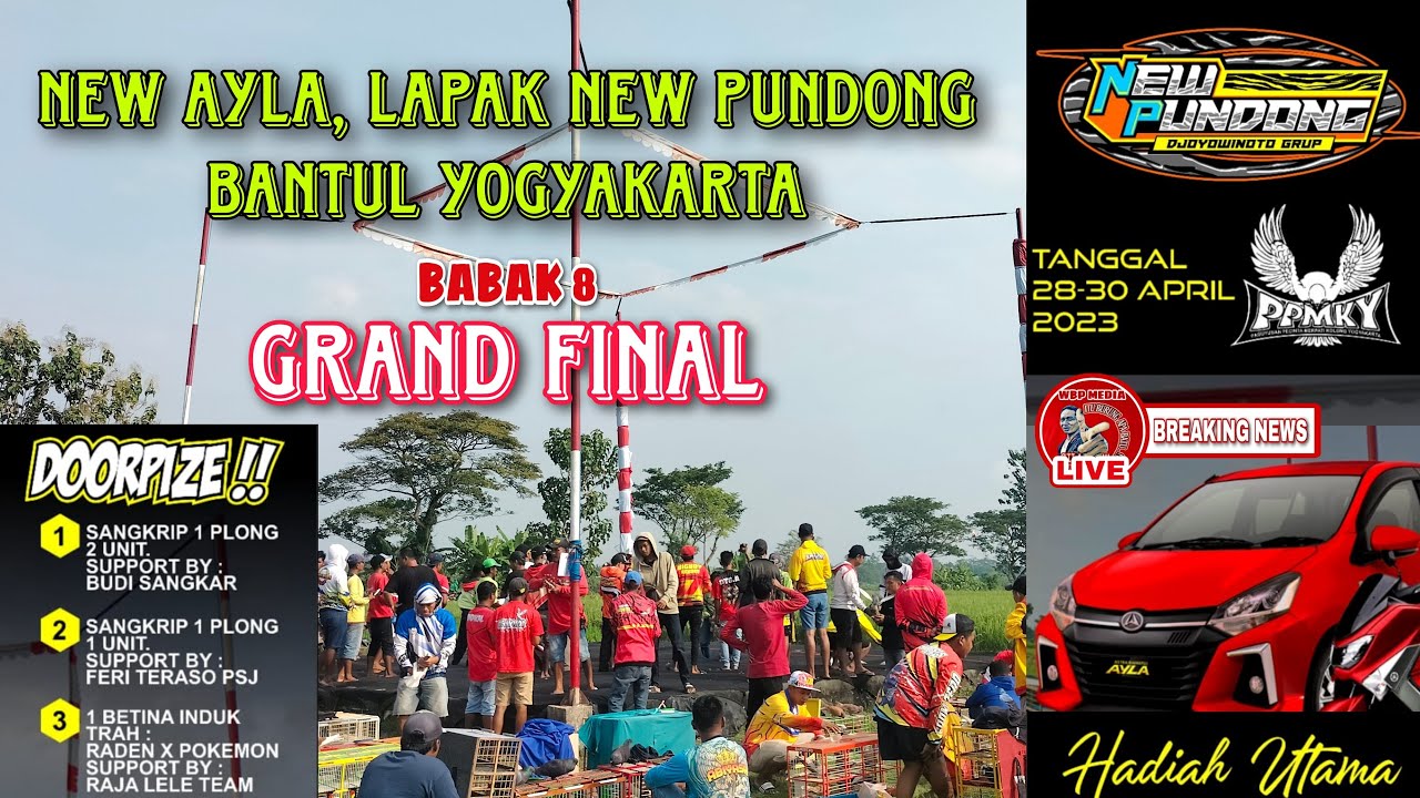 GRAND FINAL DAN BABAK 8 NEW AYLA LAPAK NEW PUNDONG BANTUL YOGYAKARTA