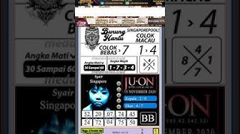 Forum Syair Sgp Youtube