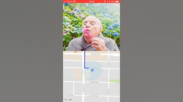 Google API Demo on iPhone