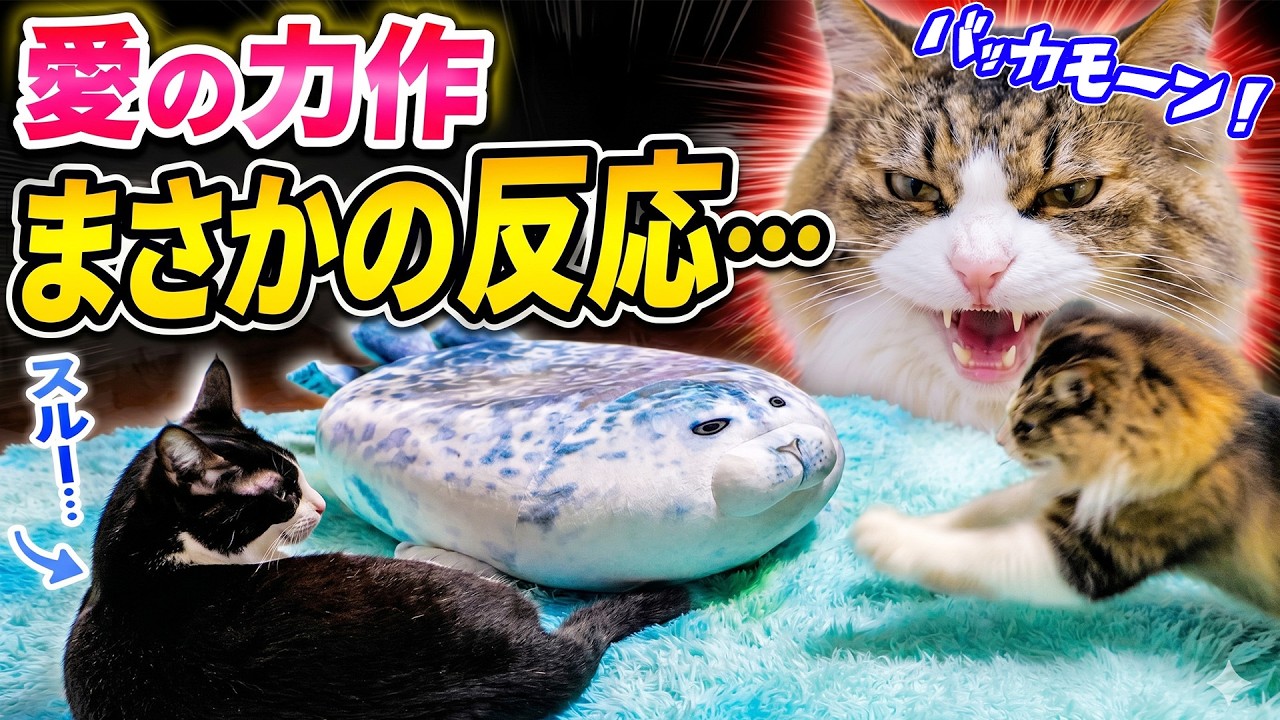 3週間ぶりに帰宅した娘達に愛の力作を完全無視されブチギレるボス猫パパが面白すぎたｗ