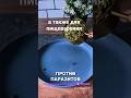🩺💊💉🩸Здоровье и лечение #video #jutuber #природа#организм#лекарства