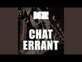 Chat errant