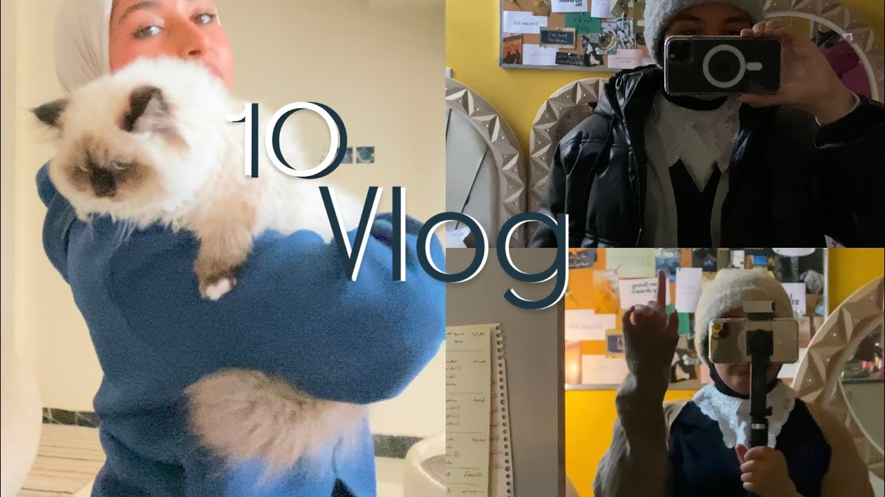 امتحانات نصف السنة بداية النهاية || ڤلوق العاشر 🐤