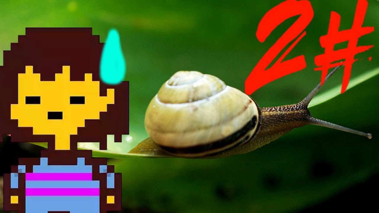 SNAILS FOR LIFE! | Undertale 2# - YouTube