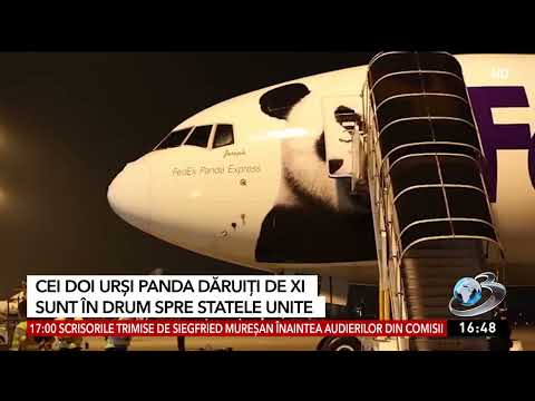 The two pandas gifted by Xi are on their way to the United States