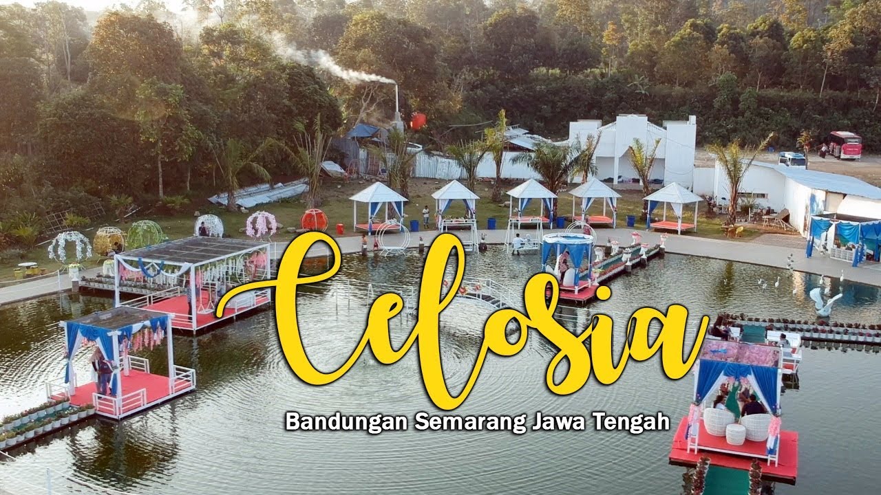  Taman  bunga  celosia bandungan  semarang jawa tengah YouTube