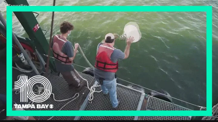 Crews continue work to patch breach at Piney Point amid water quality tests in Tampa Bay