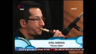 Aysel Sarıkaya - Yarmısın Nesin (Cem TV) Resimi