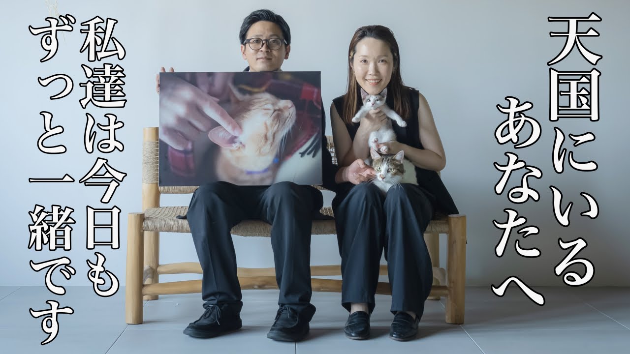 【四十九日】天国の我が愛猫へ届ける家族の節目