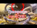 Vlog: Тренировка на коне