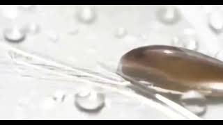 Snail equipped a shield