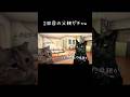 一年前に消えた母親が、知らない男を連れて戻ってきた件w #猫ミーム #猫ミーム日常 #親ガチャ