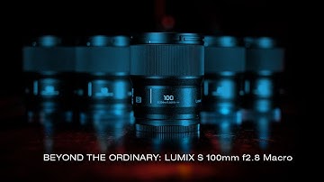 The Final Piece: Lumix S 100mm f2.8 S Macro Lens Review
