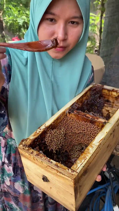 Trigona Bee Honey #shorts
