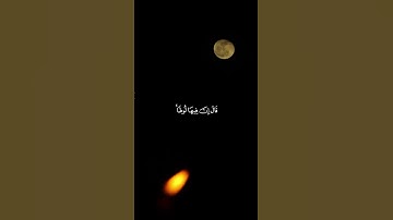 ماتيسر من سورة العنكبوت | القارئ : احمد النفيس