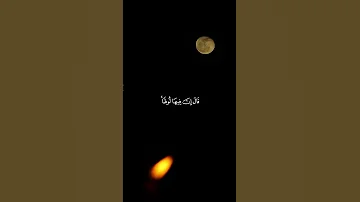ماتيسر من سورة العنكبوت القارئ احمد النفيس 