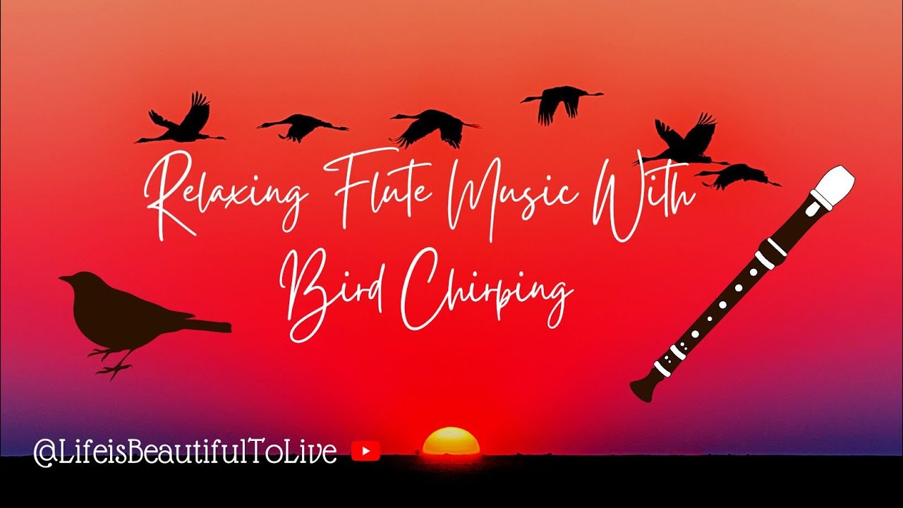 30 Minutes Beautiful Relaxing Flute with Bird Chirping Music Relax body