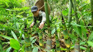 Day 2 I went into the ravine to look for bamboo shoots