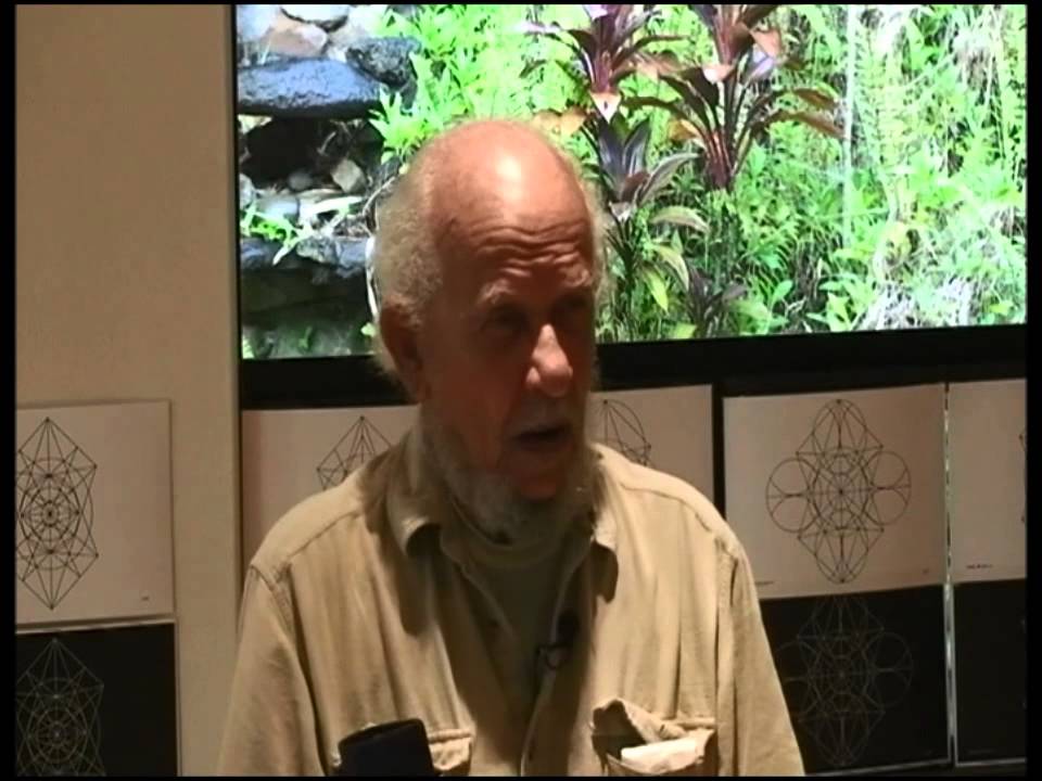 Adaptive Ecology - Art Cover