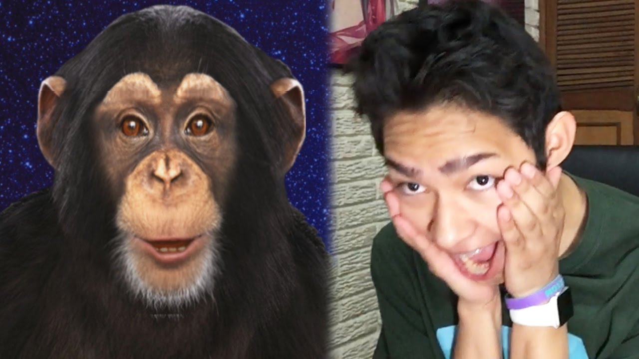 mi romance con un mono chimbot fernanfloo youtube