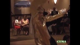 FACC Gala Part 1 of 2011 youtube version.mp4