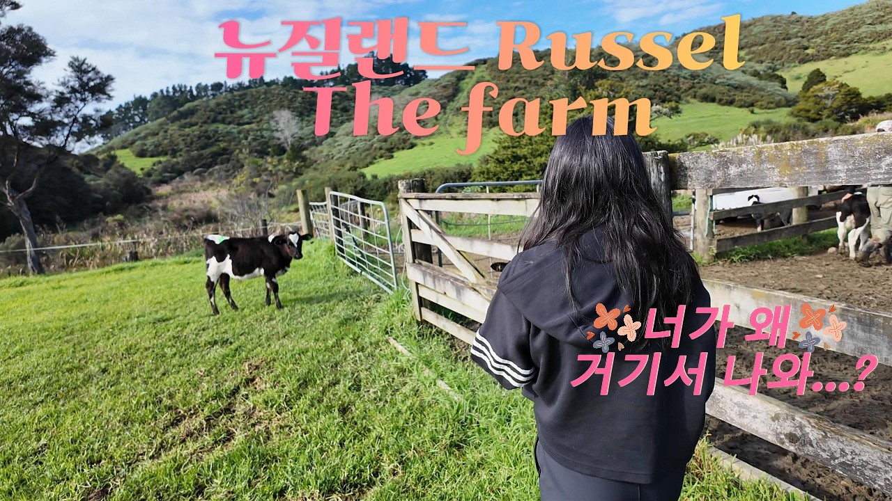 뉴질랜드 첫 영상 🇳🇿 자연 속 농장 스테이 힐링 (러셀 The Farm🌿)
