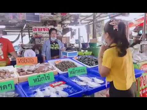 Ep.8 พาณิชย์พาตะลุยสะพานปูชักชะอำ เพชรบุรี ติดตามสถานการณ์อาหารทะเลช่วงโควิด 19