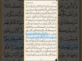 القرآن الكريم سورة الروم من الايه الكريمه 25 إلى الآية الكريمة 41 محمد ايوب