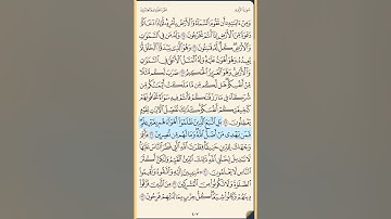 القرآن الكريم سورة الروم من الايه الكريمه 25 إلى الآية الكريمة 41 محمد ايوب