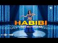 Arabic Belly Dance Songs Remix High Energy Arabian Dance Party Mix 