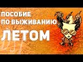 Кратко о выживании летом в Don't Starve Together/RoG