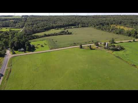 Dybka Video ! YouTube