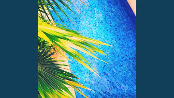 Sprightly Backdrops for Summer VIbes