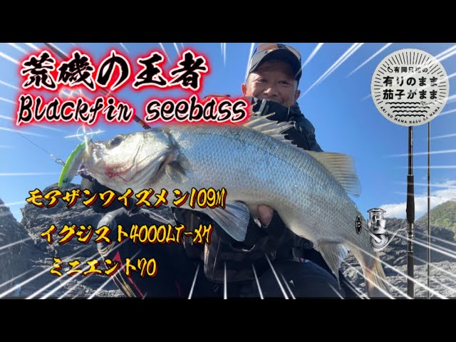 磯ヒラ Lure] 2023 #1 New Rod for targeting rockfish - YouTube