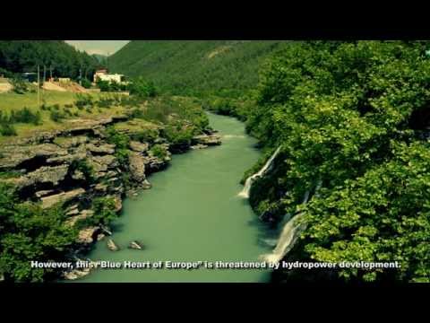 Video: Çfarë nënkuptohet me krizën e biodiversitetit?