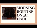 My morning routine for dense/thick 4c hair