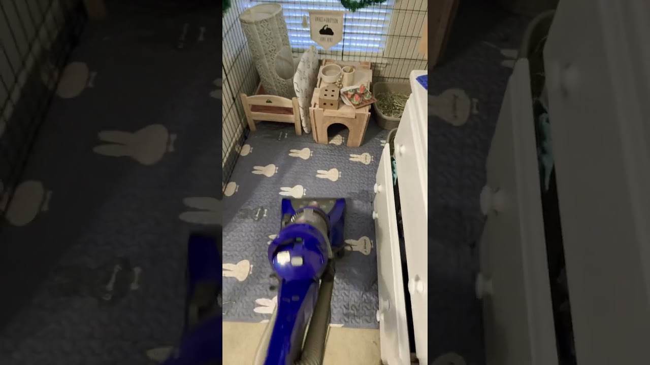 How To Clean Your Rabbits Cage In Under Five Minutes! 