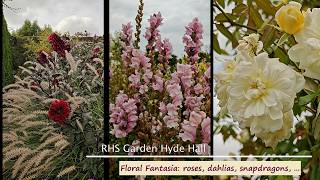 RHS Garden Hyde Hall. Floral Fantasia. 08.2026 #garden #gardenplants #dahlia #roses #snapdragon
