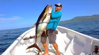 Using DOLPHINS to Catch MASSIVE Tuna (CATCH & COOK) - Offshore Fishing