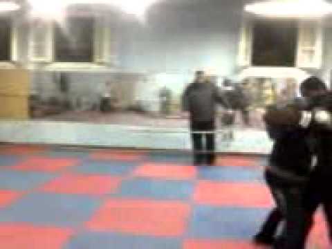 حورس  عمرو الشبان المسلمين بوكس