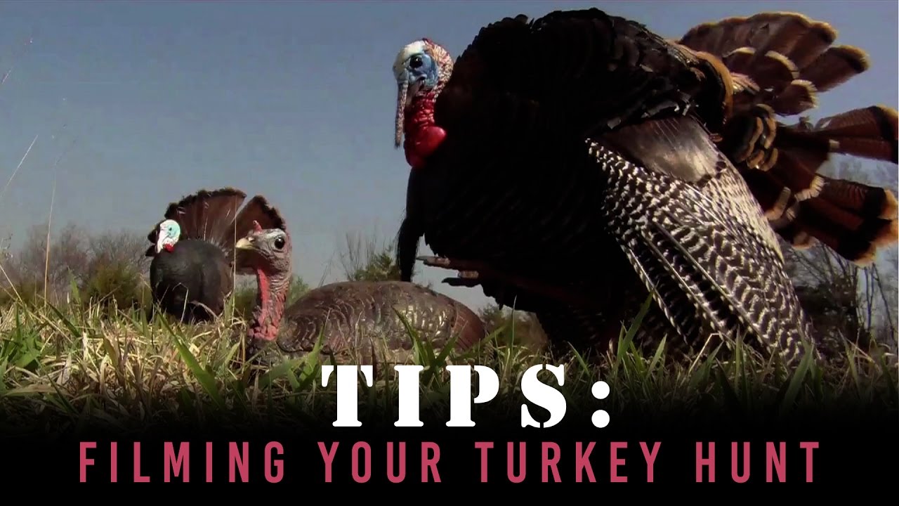 Turkey Hunting Tips to Filming Your Hunt YouTube