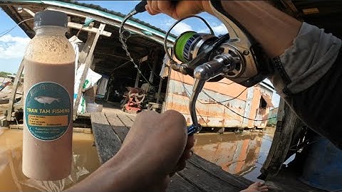 Câu Cá Vồ Đém Mùa Nước Nổi #48 || Hoàn Thiện Bài Mồi Câu Cá Vồ Đém Sau Một Năm Nghiên Cứu .