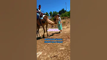 BEHIND THE SCENES Shofar On A Camel Or Almost Off Of It Dear Lord Have Mercy Elul 2025 W Nili 