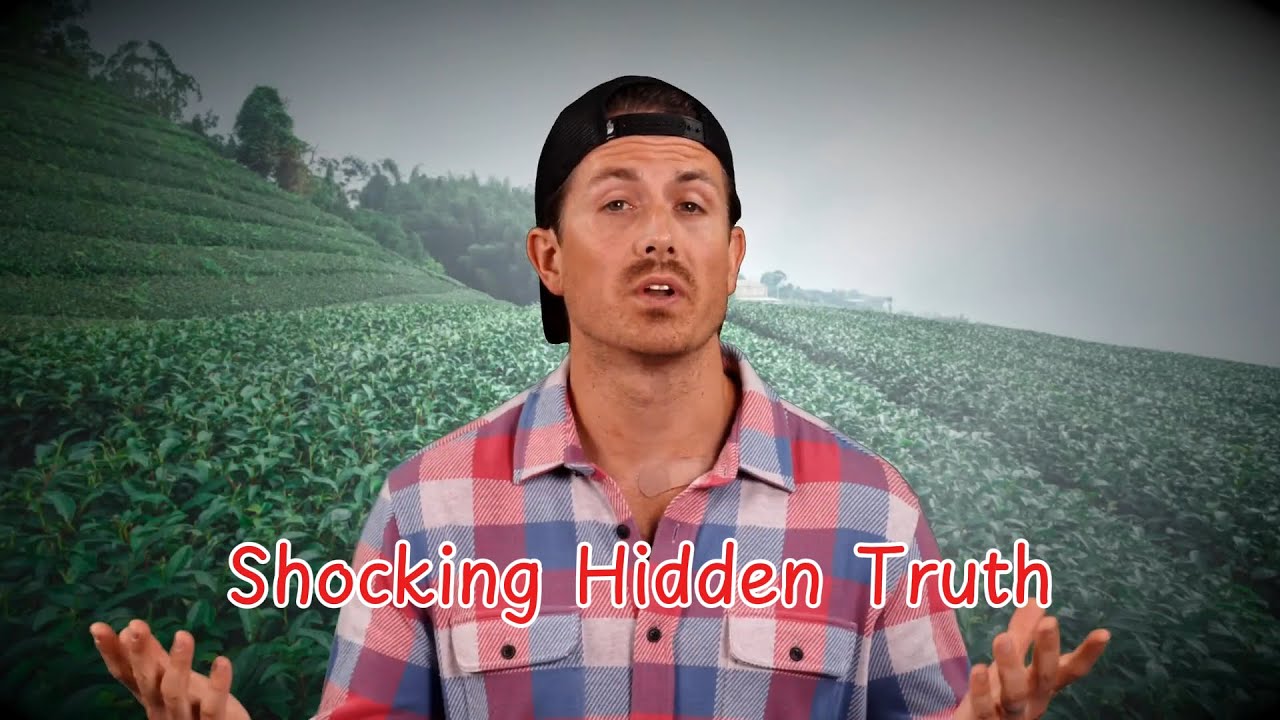 EXCLUSIVE EPISODE: Weird Stories That Actually Happened Vol.  - MrBallen Podcast