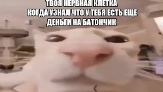 Ты Покупаешь Один Батончик: