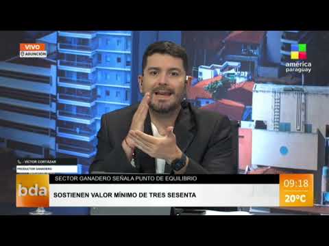 Denuncian “cártel” en la carne: Fuerte acusación en la ganadería paraguaya